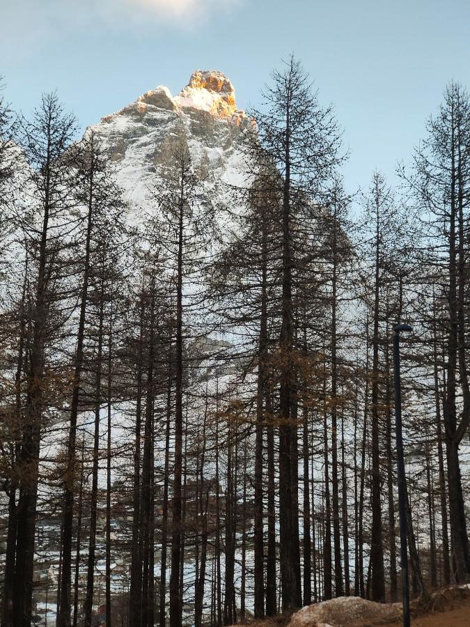 Cervino's View - In Out Breuil-Cervinia